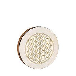 Sonic Energy - HD16WB-FOL 1