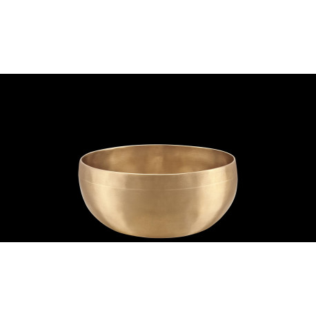 Sonic Energy - SB-U-700 1