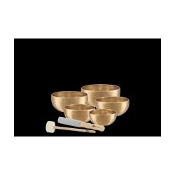 Sonic Energy - SB-U-2950 1