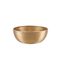 Sonic Energy - SB-E-1000 1