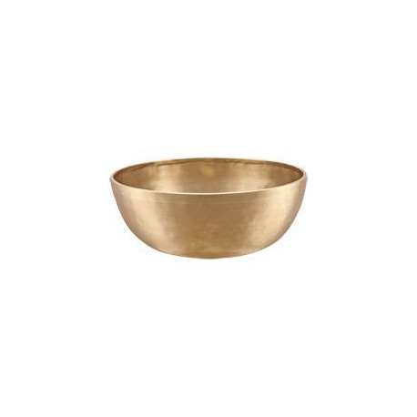 Sonic Energy - SB-E-2500 1