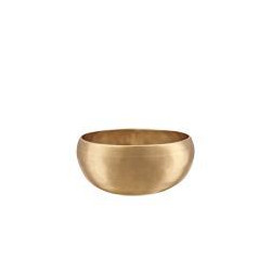 Sonic Energy - SB-C-650 1