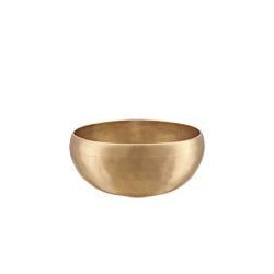 Sonic Energy - SB-C-800 1