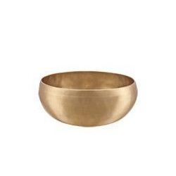 Sonic Energy - SB-C-1000 1