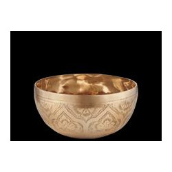 Sonic Energy - SB-SE-600 1