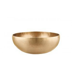 Sonic Energy - SB-G-5000 1