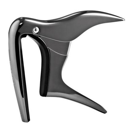 Ortega - OCAPO-BCR 1