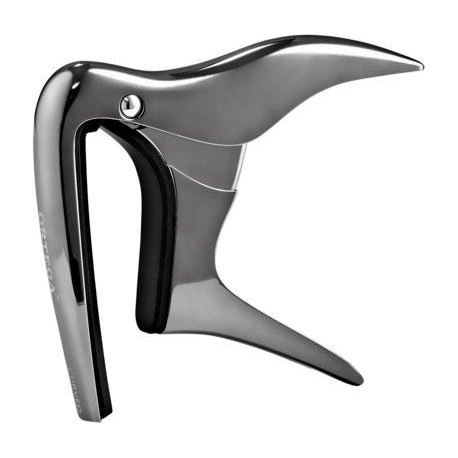 Ortega - OCAPOCV-BCR 1