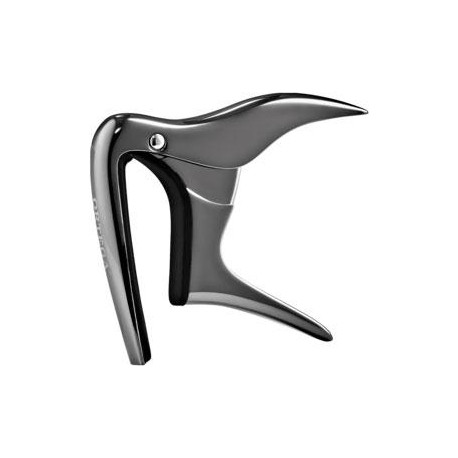 Ortega - OCAPOUKE-BCR 1