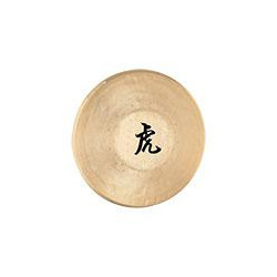 Sonic Energy - TG-125 1