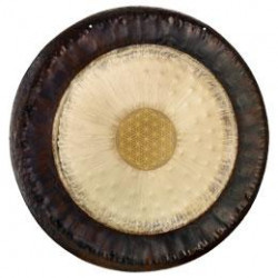 Sonic Energy - G24-FOL 1