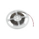 Eurolite - LED Strip 300 5m 3528 5700K 12V 2