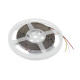 Eurolite - LED Strip 600 5m 3528 2700+5700K 24V 2