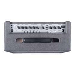 Blackstar - SILVERLINE STANDARD 20W 1