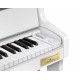 Casio - CELVIANO GRAND HYBRID GP-310WE 1