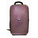 Bags - 2 CLARINETES