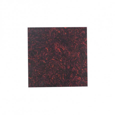 Ortola - 8299-093  1