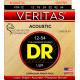 DR - VTA-12 VERITAS 1