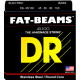 DR - FB-45/100 FAT-BEAM 1