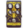 Reloop - CARCOSA 1