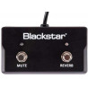 Blackstar - FS-17 (SONNET) 1
