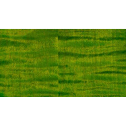 PRS GUITARS - CUSTOM 24 PIEZO ERIZA VERDE 1