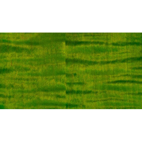 PRS GUITARS - CUSTOM 24 PIEZO ERIZA VERDE 1