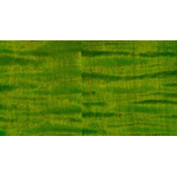 PRS GUITARS - MCCARTY 594 ERIZA VERDE 1