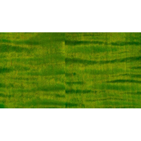 PRS GUITARS - MCCARTY 594 ERIZA VERDE 1