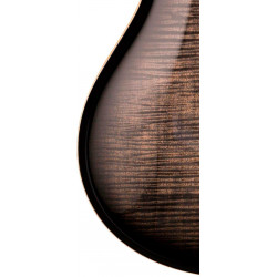 PRS GUITARS - MCCARTY 594 PURPLE IRIS 1