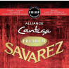 Savarez - 656.249 1