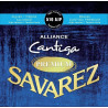 Savarez - 656.251 1