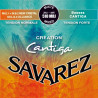 Savarez - 656.317 1