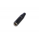 REAN - CONECTOR MINI XLR RT5MC-B 
