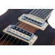 Schecter - AVENGER EXOTIC ZIRICOTE NSZ 5