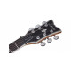 Schecter - SOLO-II CUST  TBB/NAT 4