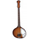 DANELECTRO - BABY SITAR 1