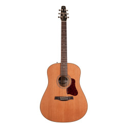 SEAGULL - INSEAGUL09 1