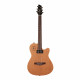 GODIN - INGODIN06 1