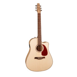 SEAGULL - INSEAGUL07 1