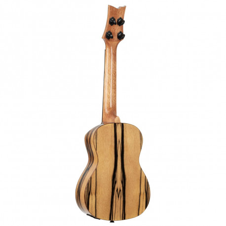 Ortega - EAGLESUITE-U 1