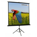Celexon - Tripode Basica 133x133