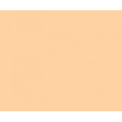 Rosco - E-Colour #009 (30x26,5cm)