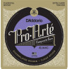 D'addario - EJ44C - Pro Arte Composite Hard 1