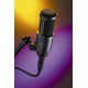 Audio-Technica - AT2020 1