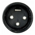 Dap Audio - XLR 3p. Connector Male, Black housing