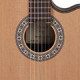 Toledo - CHITARRA HYBRID TOLEDO BEATRIZ H 9