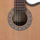 Toledo - CHITARRA HYBRID THIN LINE TOLEDO 5