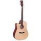 Sound Sation - CHITARRA ACUSTICA  MANCINA SOUND 4