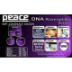 Peace - BATTERIA PEACE DP-22DNA2-5 #265  6